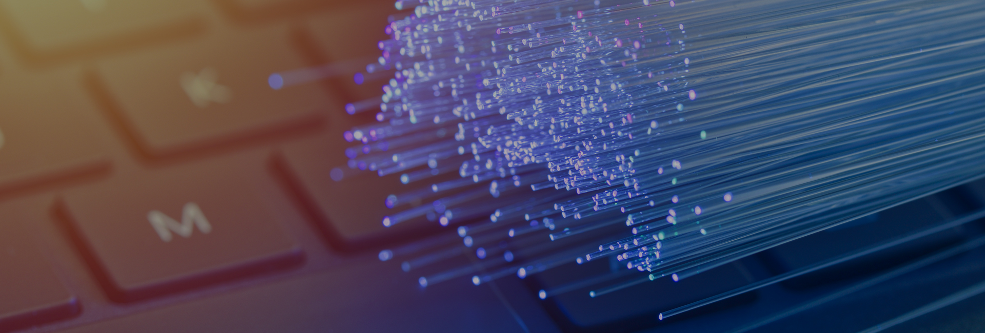 TG_Web-Header_1920x650_50%_0013_10d Download Center header_download_center